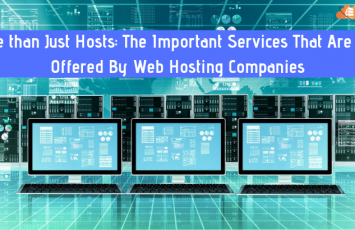 Important Services Offered by Web Hosting Companies