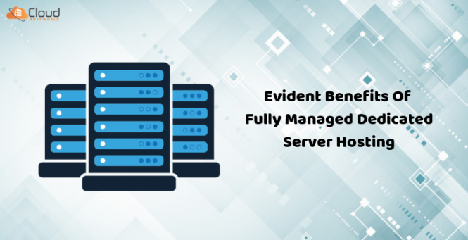 Evident Benefits Of Fully Managed Dedicated Server Hosting Services (6)