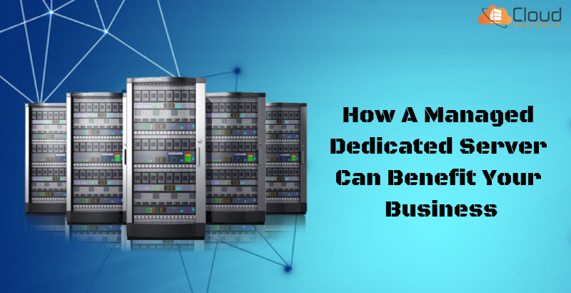 How A Managed Dedicated Server Can Benefit Your Business