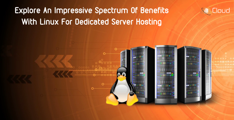 Explore An Impressive Spectrum Of Benefits With Linux For Dedicated Server Hosting