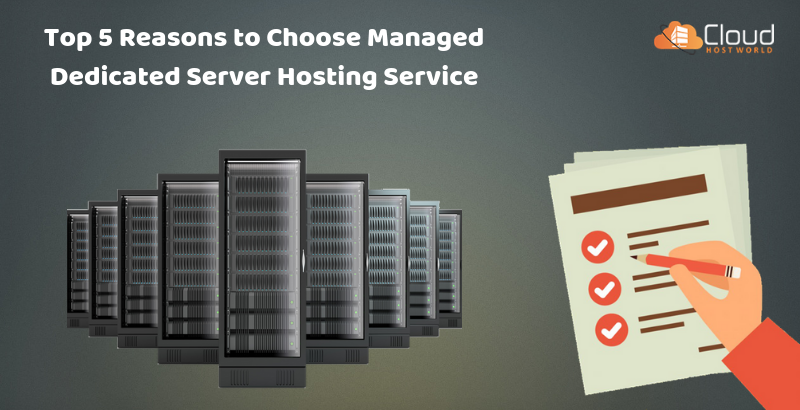 Top 5 Reasons to Choose Managed Dedicated Server Hosting Services